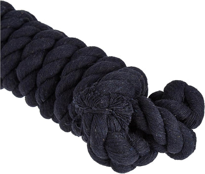 Weaver Equine Performance Lead Rope, Long Horse Lead Rope with Quick Halter Attachment, Soft