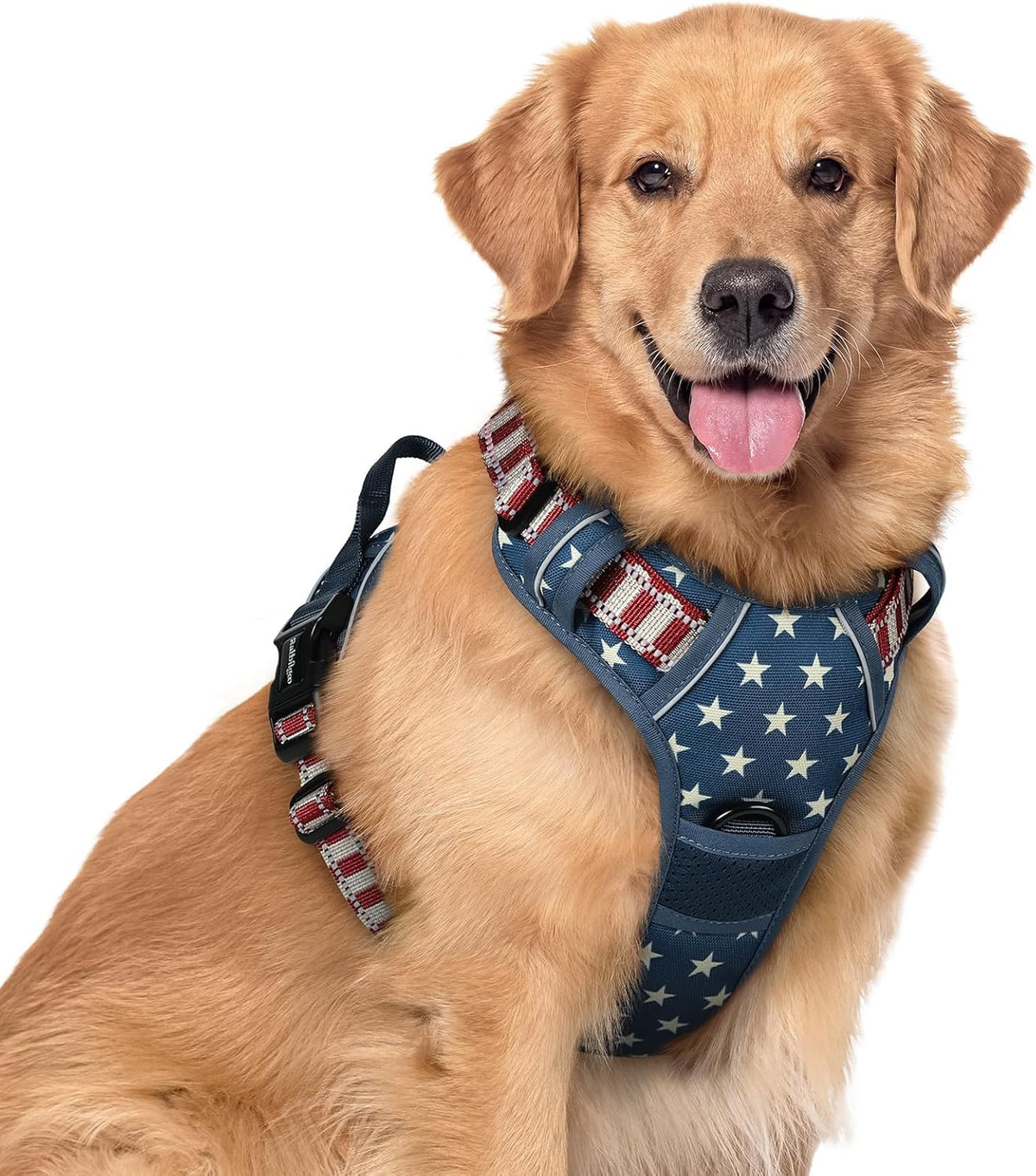 rabbitgoo Dog Harness No Pull with 2 Leash Clips, Adjustable Soft Padded, Reflective Oxford No