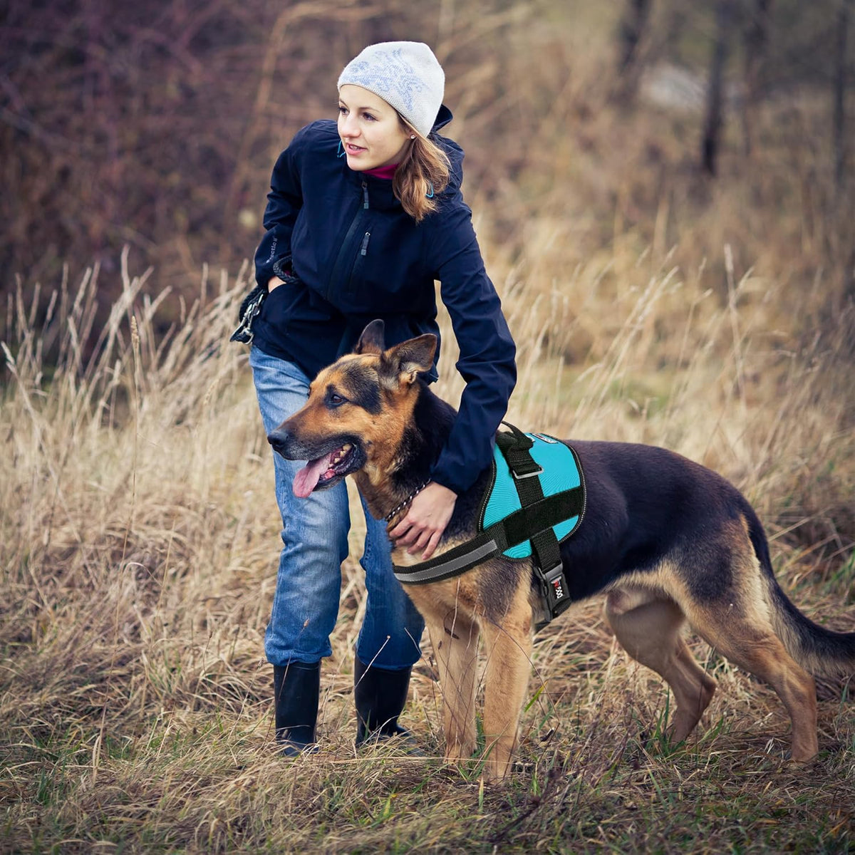 Dogline Dog Harness, Reflective No-Pull Adjustable Vest with Handle for Walking, Training