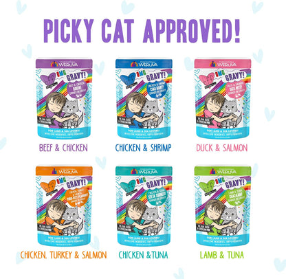 Weruva B.F.F. OMG - Best Feline Friend Oh My Gravy!, Variety Pack, Potluck O' Pouches, Wet Cat