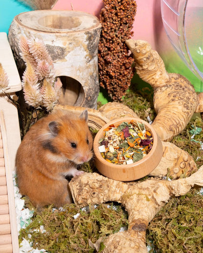 Niteangel Golden Hamster Food & Treats - Small Animal Natural Food for Syrian Golden Hamsters or