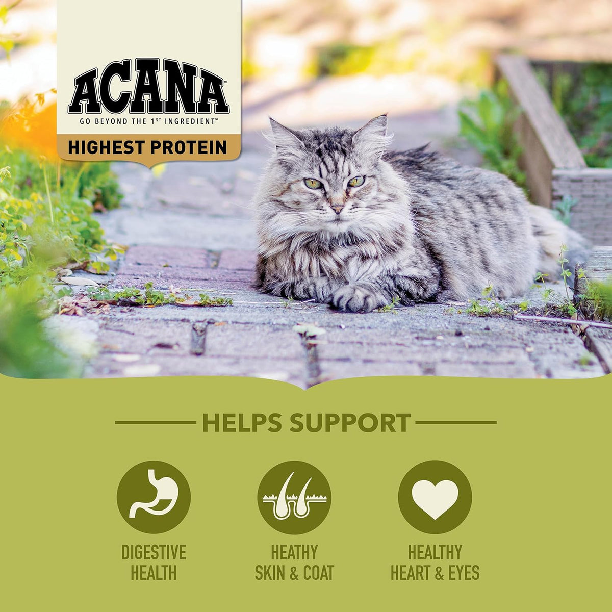 ACANA Highest Protein Grasslands Grain-Free Dry Cat Food, Duck, Free-Run Chicken and Eggs Cat Food