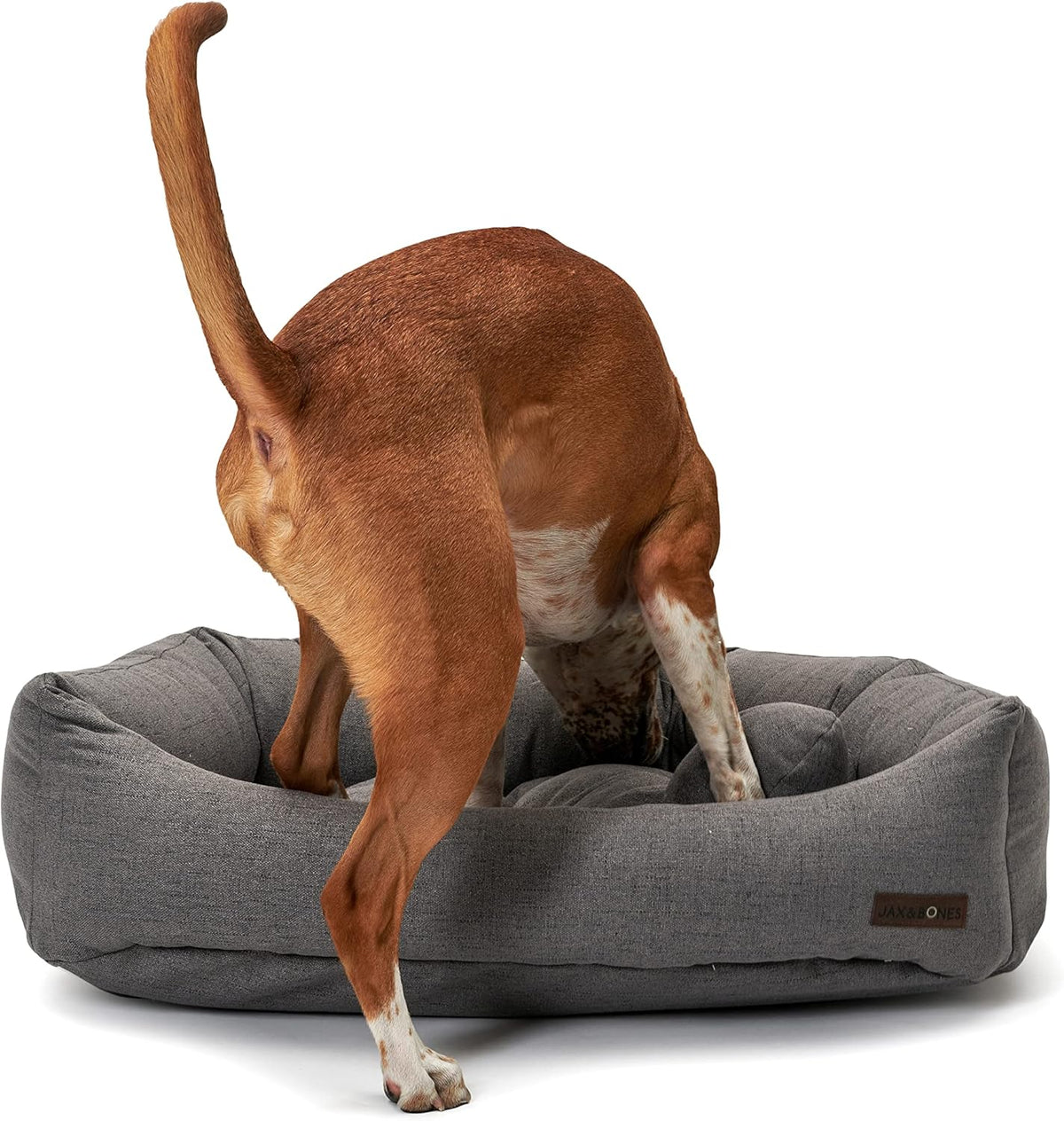 Jax & Bones Dog Napper - Lark Graphite Machine Washable Bed for Dogs - Extra Heavy Duty Bolstered
