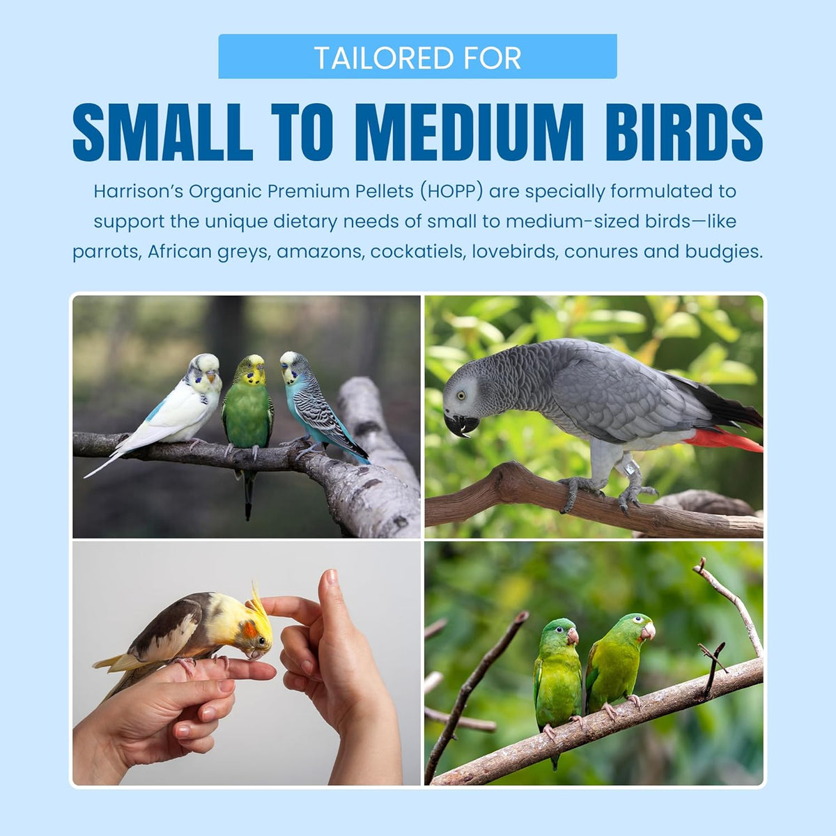 Harrison's Bird Foods HOPP Premium Pellets – Organic, Nutritionally Balanced Food for Small to