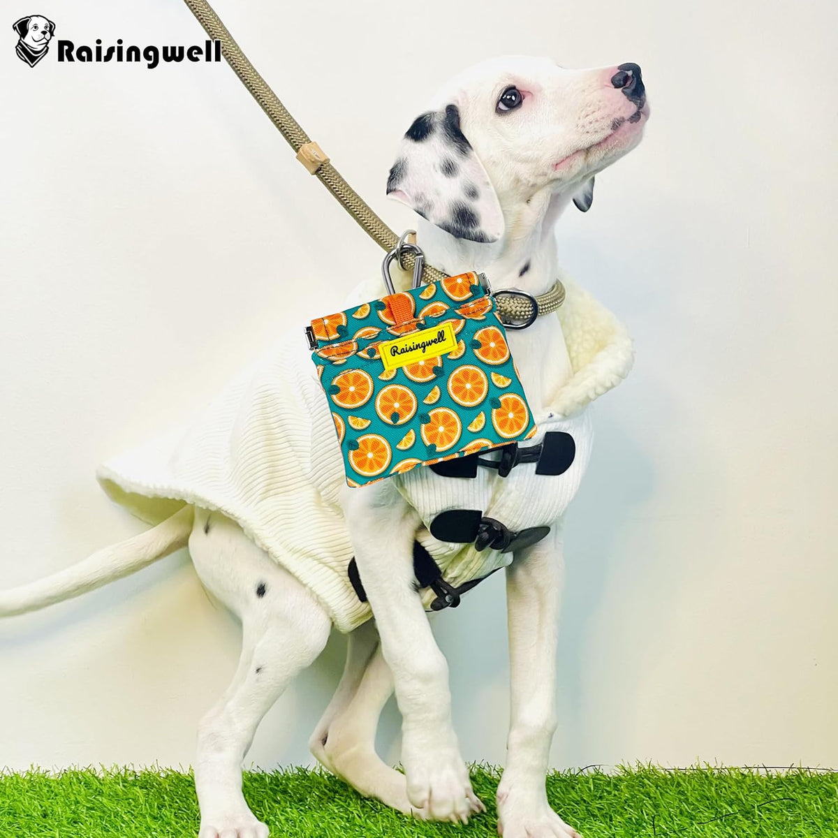 Dog Treat Pouch,Cotton Pocket Sized Training Holder, Hand Free Walking Funny Bag with Carabiner