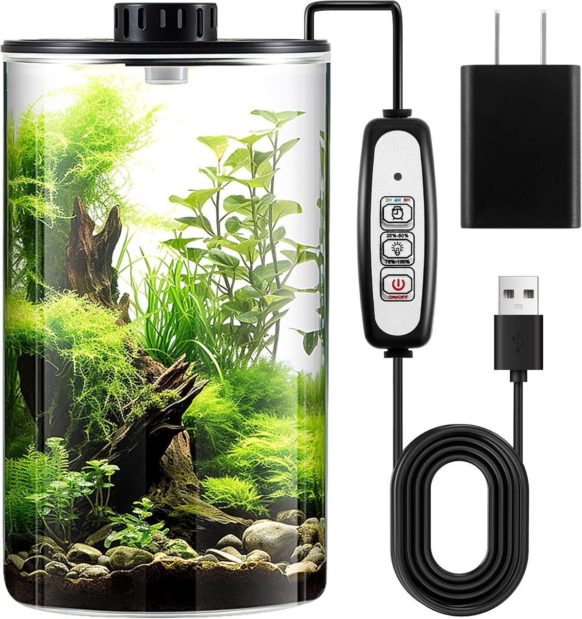 Maxdot Glass Plant Terrarium Kit with Light for Succulent, Moss, Miniature Gardening Landscape