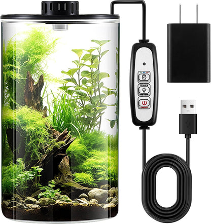 Maxdot Glass Plant Terrarium Kit with Light for Succulent, Moss, Miniature Gardening Landscape