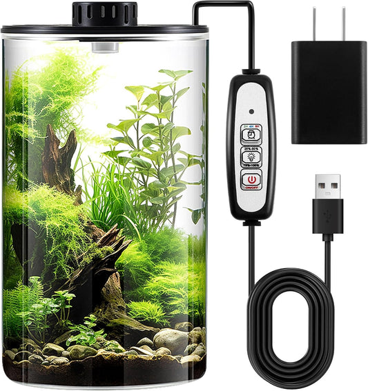 Maxdot Glass Plant Terrarium Kit with Light for Succulent, Moss, Miniature Gardening Landscape