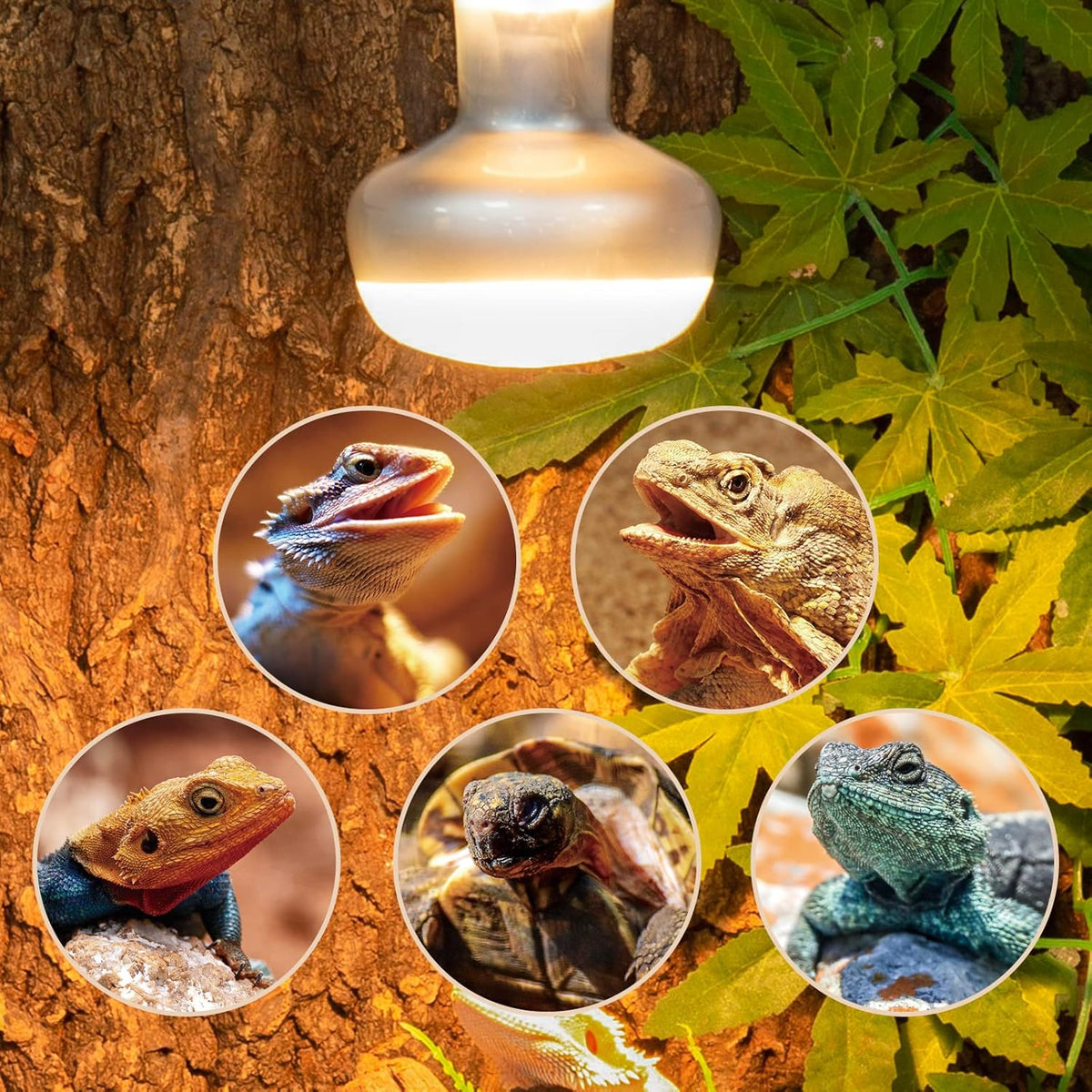 REPTI ZOO 2 Pack Heat Lamp 75W, Intense Basking Spot Simulated Natural Sunlight Heating Lamp Bulb