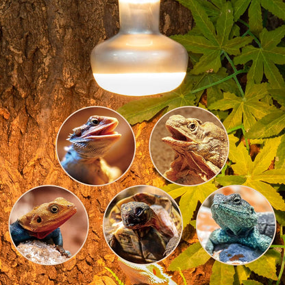 REPTI ZOO 2 Pack Heat Lamp 75W, Intense Basking Spot Simulated Natural Sunlight Heating Lamp Bulb