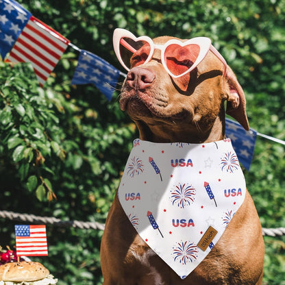 4th of July Dog Bandanas - 2 Pack Reversible American Flag Pet Scarf for Boy and Girl | Premium