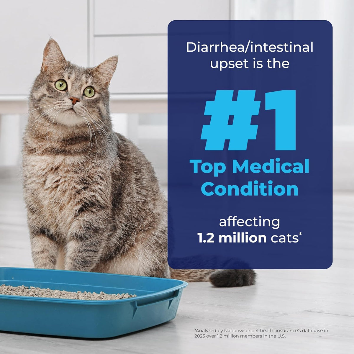 Vetnique Glandex Feline Anal Gland or Daily Probiotic Fiber Supplement Powder for Cats with