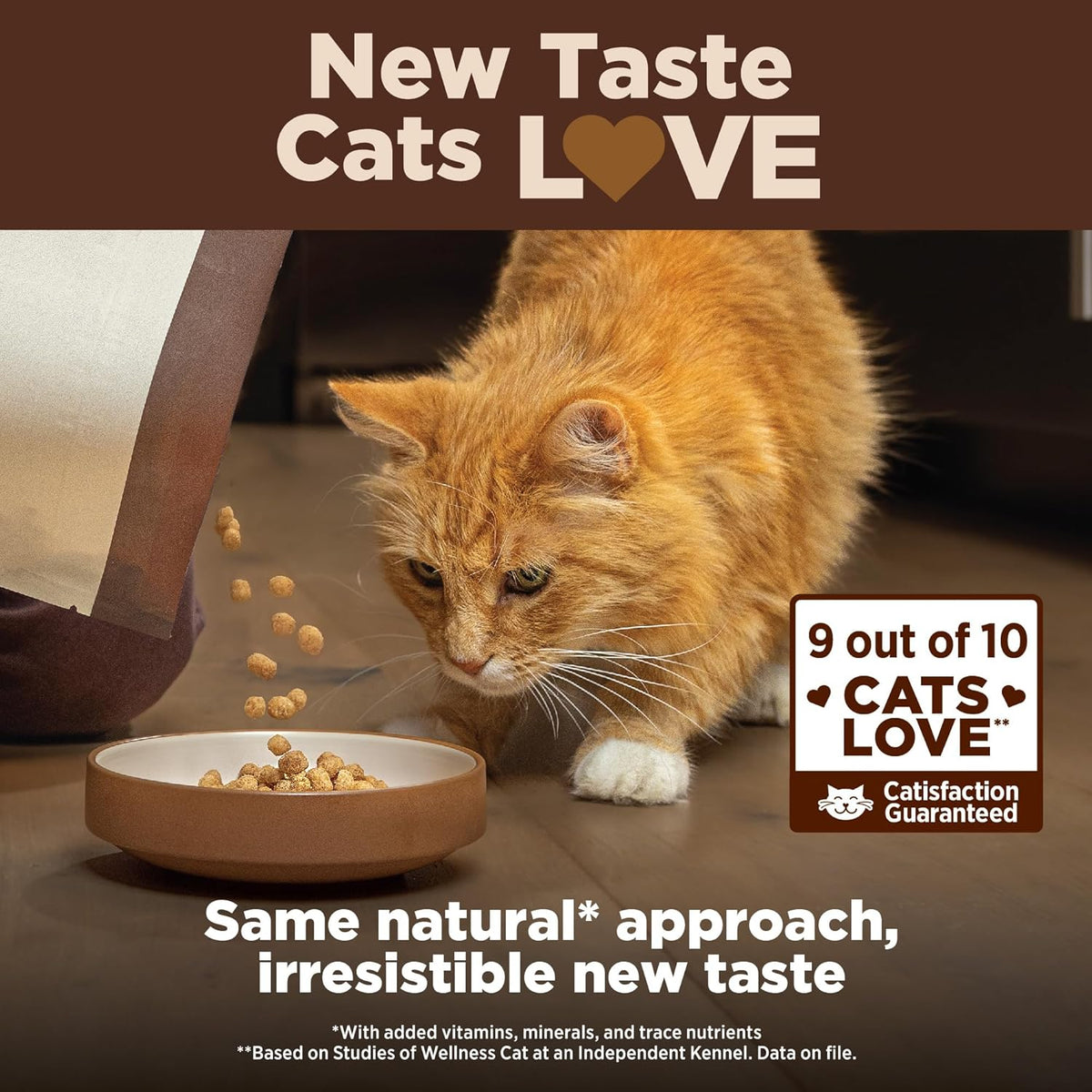 Wellness CORE+ Adult Dry Cat Food for Indoor and Outdoor Cats, Wholesome Grains, Natural, Digestive