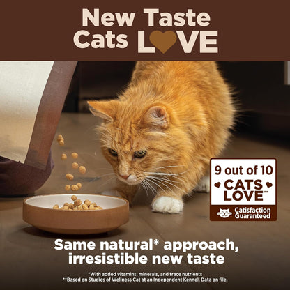 Wellness CORE+ Adult Dry Cat Food for Indoor and Outdoor Cats, Wholesome Grains, Natural, Digestive