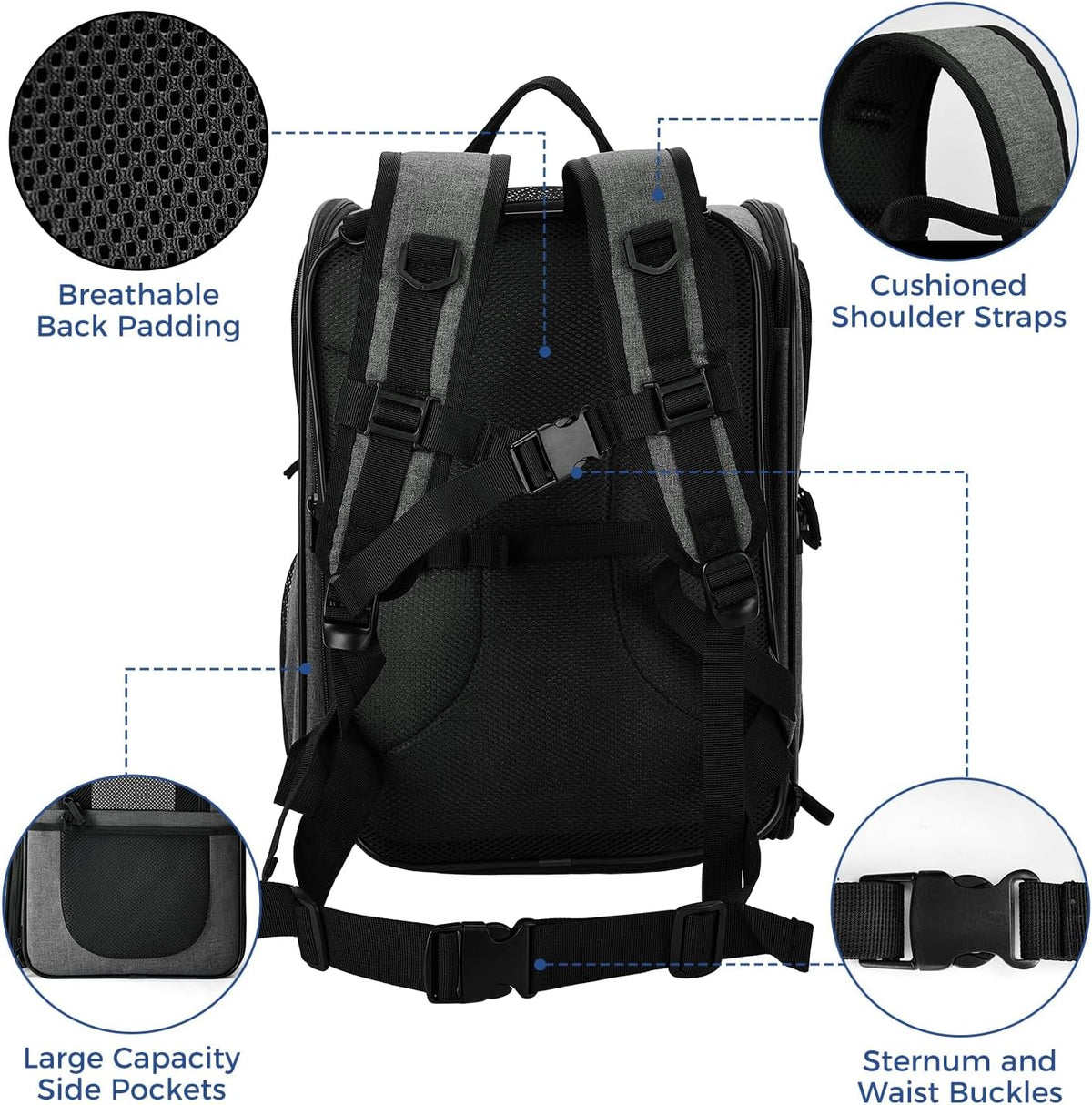 Apollo Walker Pet Carrier Backpack for Large/Small Cats and Dogs, Puppies, Safety Features and