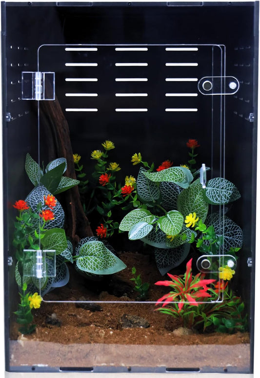Reptile Enclosure for Crested Gecko – 12x12x18 Acrylic Reptile Tank for Gecko, Snake, and Lizard