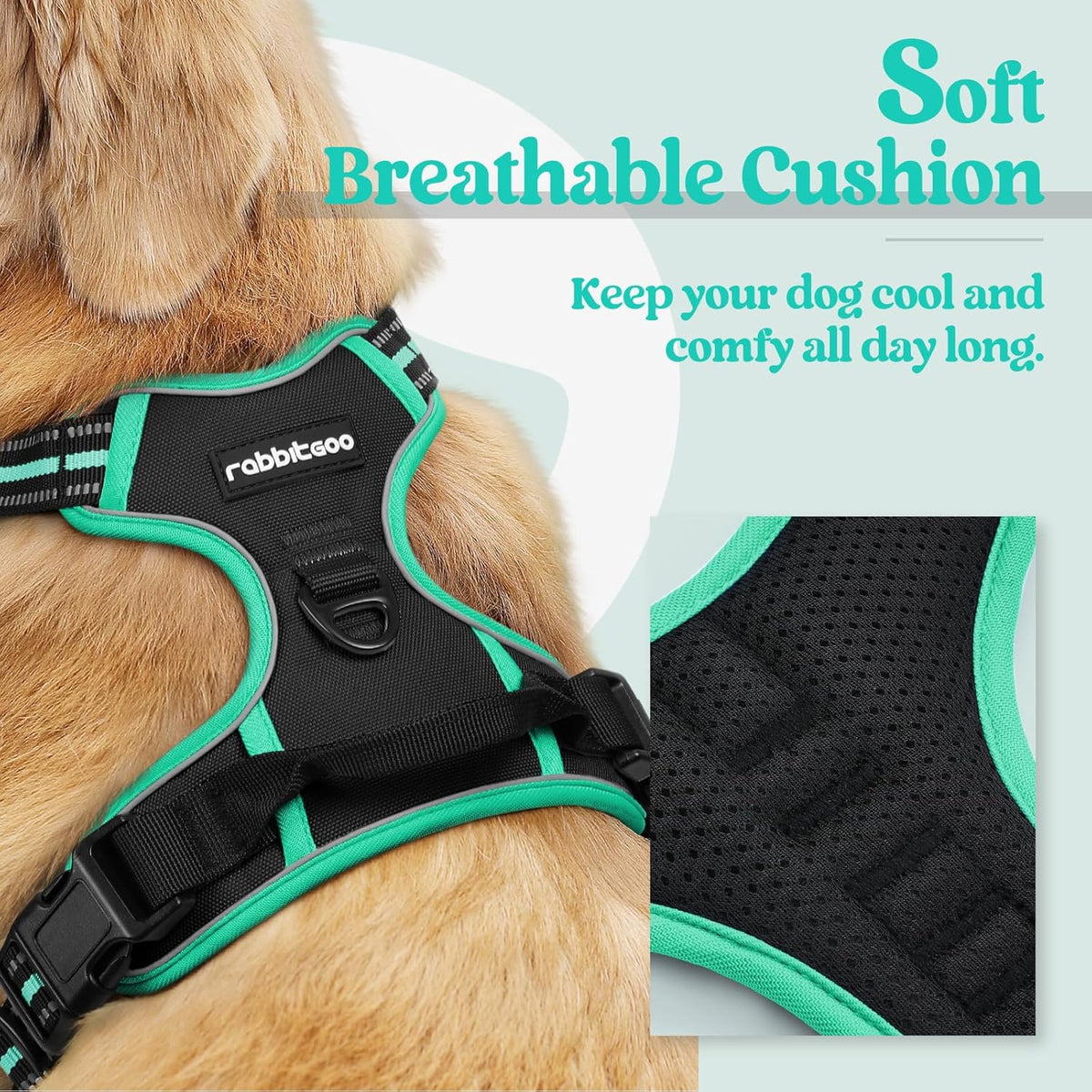 rabbitgoo Dog Harness No Pull with 2 Leash Clips, Adjustable Soft Padded, Reflective Oxford No