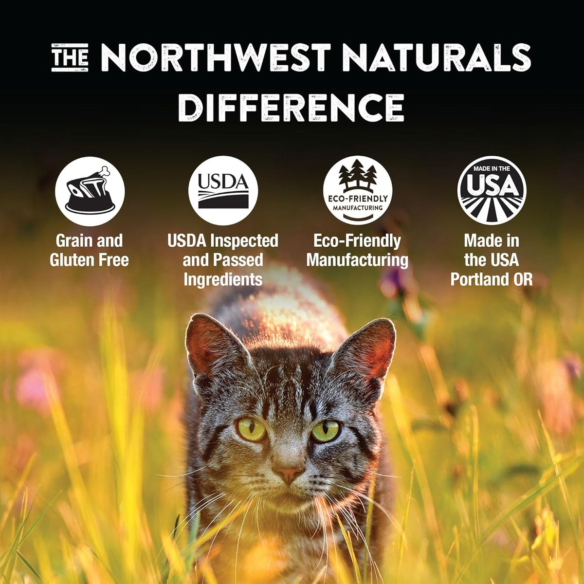 Northwest Naturals Freeze-Dried Beef & Trout Cat & Kitten Food, Bite-Sized Nibbles, Healthy