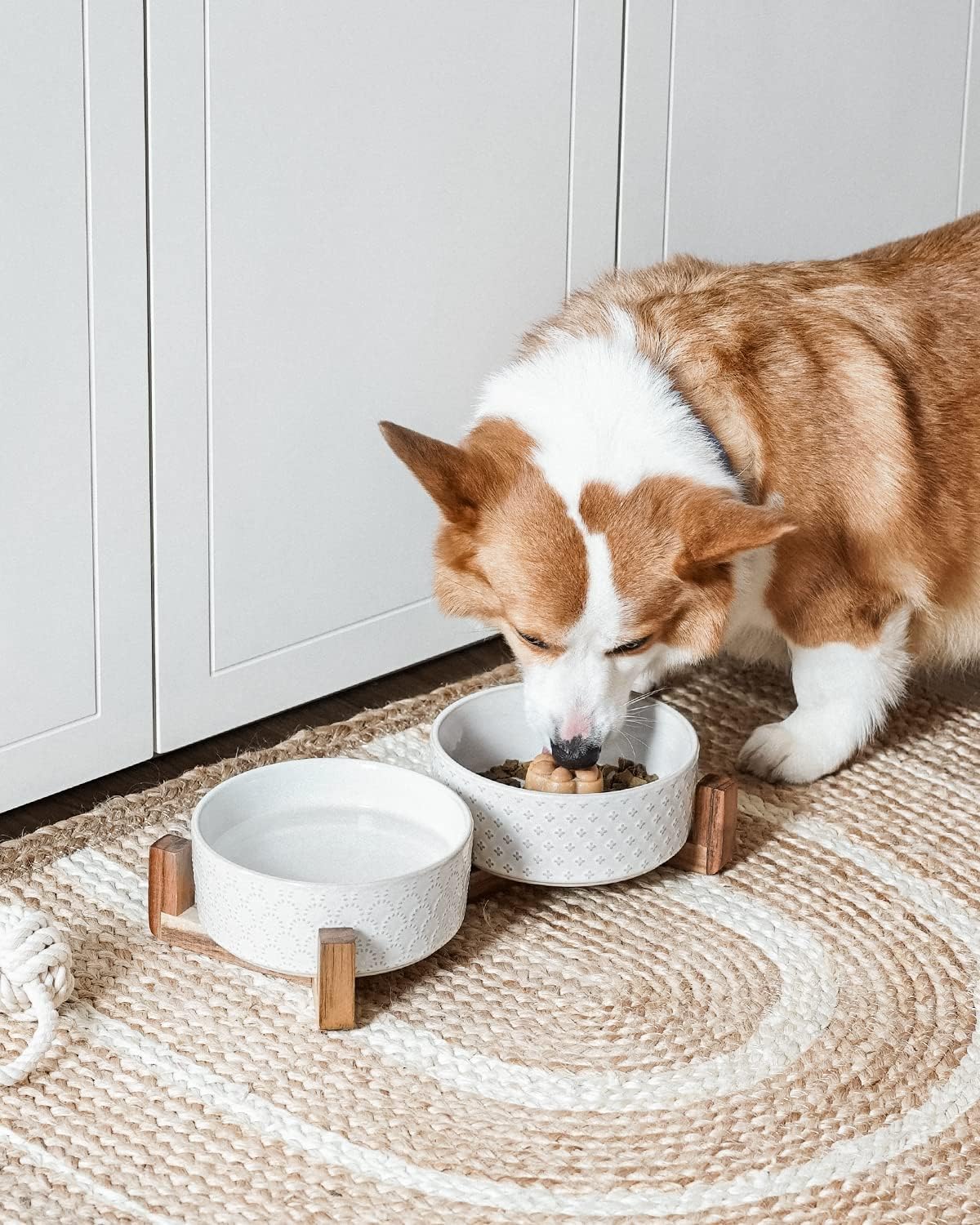 LE TAUCI Dog Bowl Set with Acacia Wood Stand - 1.5-Cup Ceramic Puppy Bowls for Small Dogs, Dual