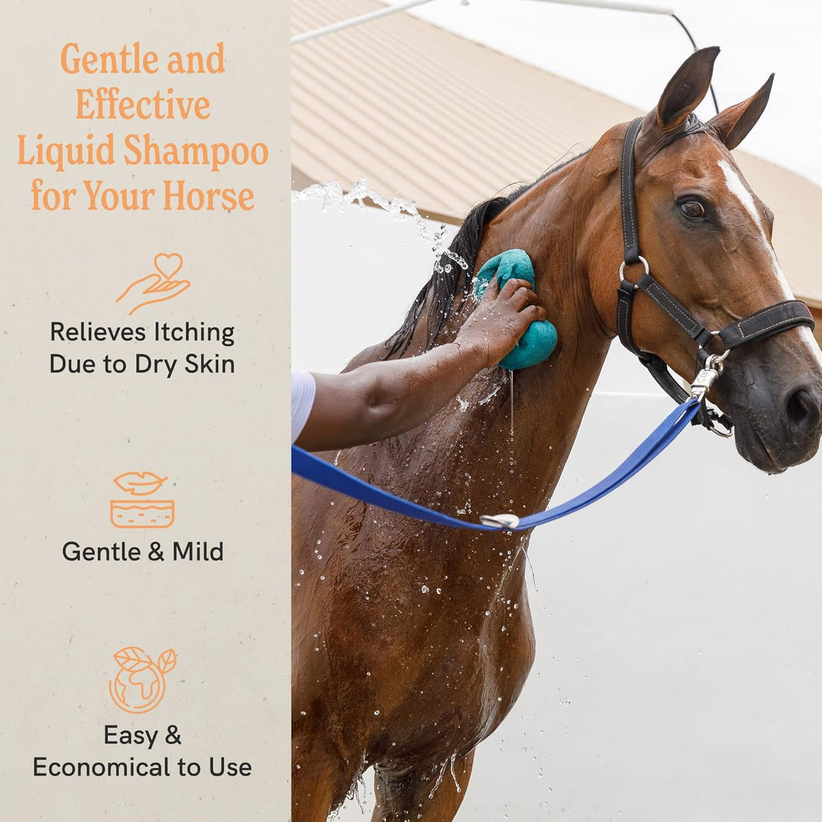 J·R·LIGGETT'S Botanical Horse Liquid Shampoo for Sensitive Skin | Hypoallergenic Biodegradable