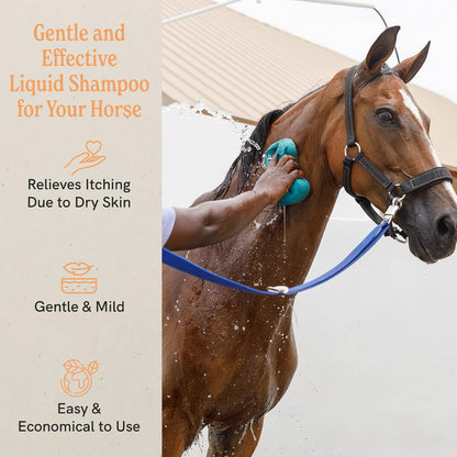 J·R·LIGGETT'S Botanical Horse Liquid Shampoo for Sensitive Skin | Hypoallergenic Biodegradable