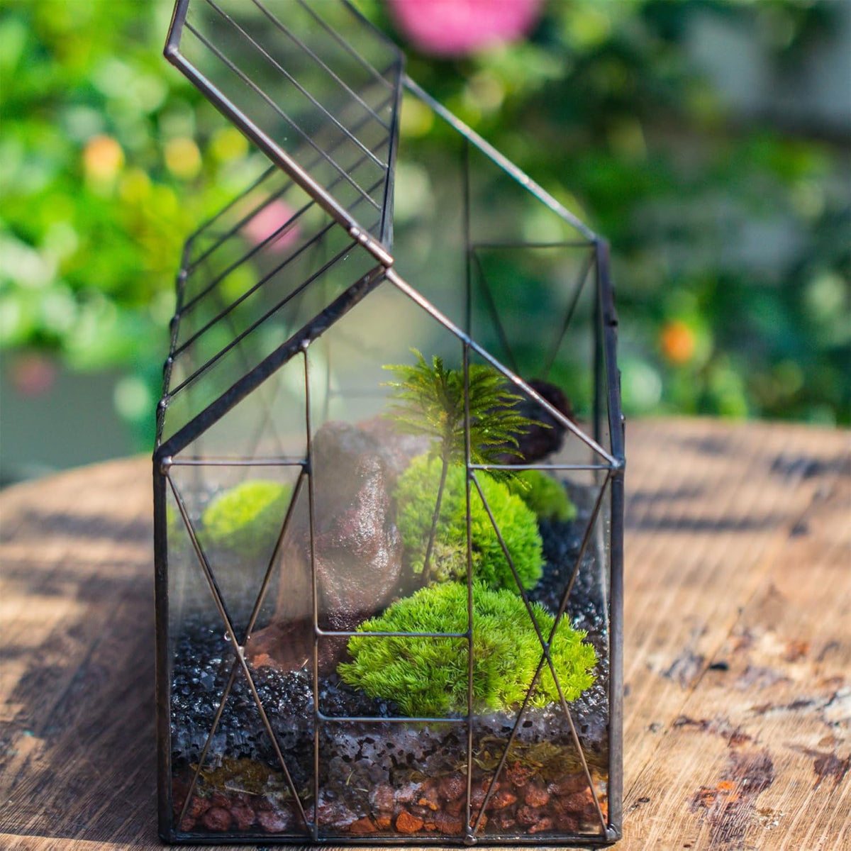 NCYP Geometric Glass Terrarium with Lid for Succulent, Small Cactus - Handmade Clear Closed House