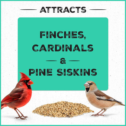 Pennington Pride Wild Finch Blend, Wild Bird Seed for Outside Feeders, Special Mix for a Variety of