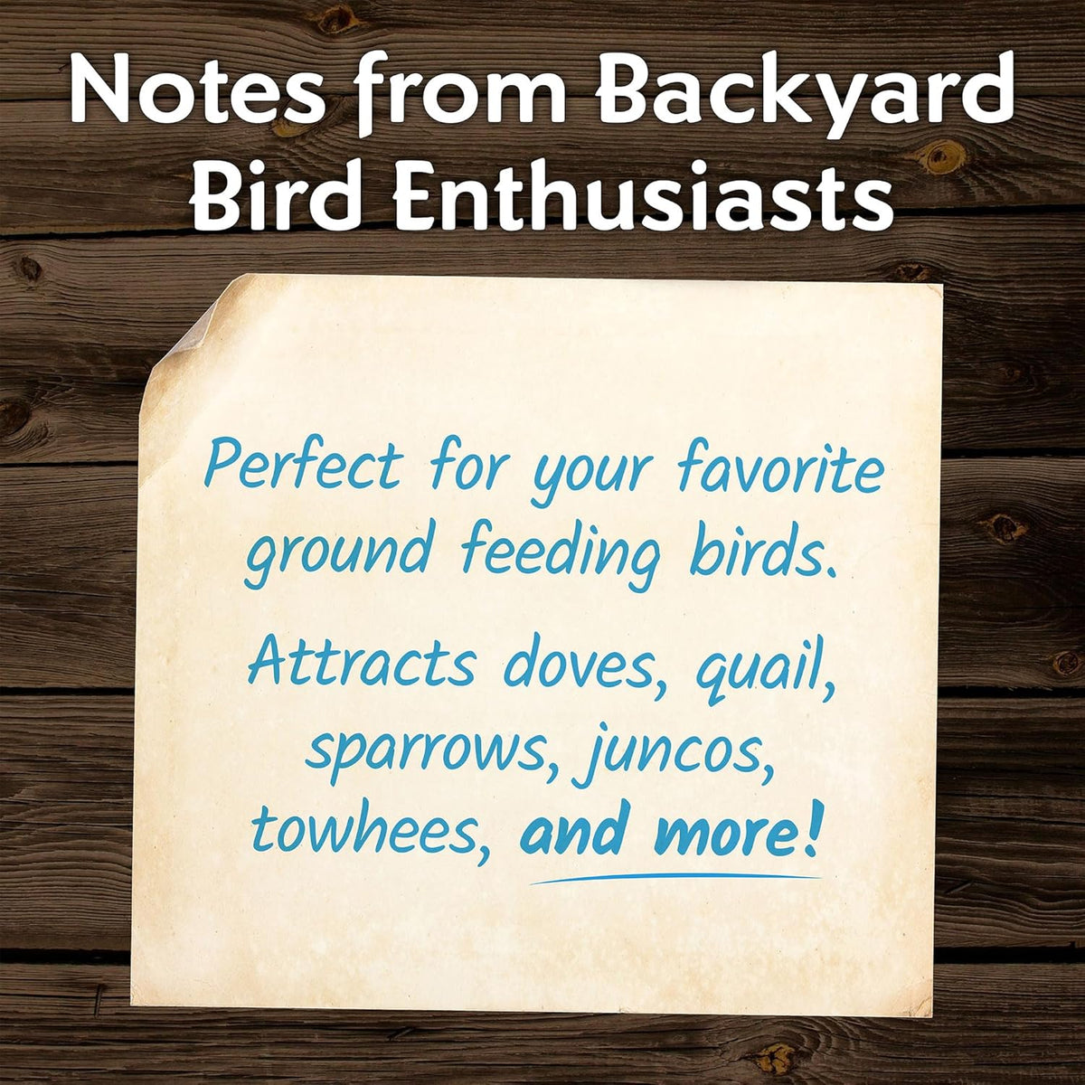 Morning Song Dove & Ground Feeding Wild Bird Seed -12 lb. Dove, Quail & Pigeon Wild Bird Food for