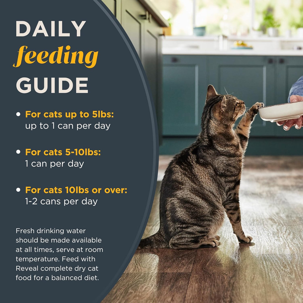 Reveal Natural Wet Cat Food, 18 Count, Grain Free, Limited Ingredient Cat Food Cups, Chicken with