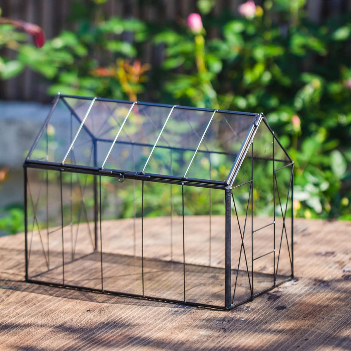 NCYP Geometric Glass Terrarium with Lid for Succulent, Small Cactus - Handmade Clear Closed House
