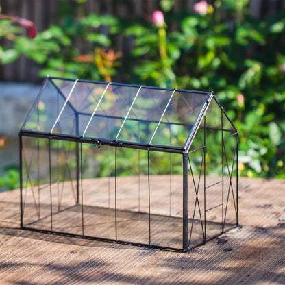 NCYP Geometric Glass Terrarium with Lid for Succulent, Small Cactus - Handmade Clear Closed House
