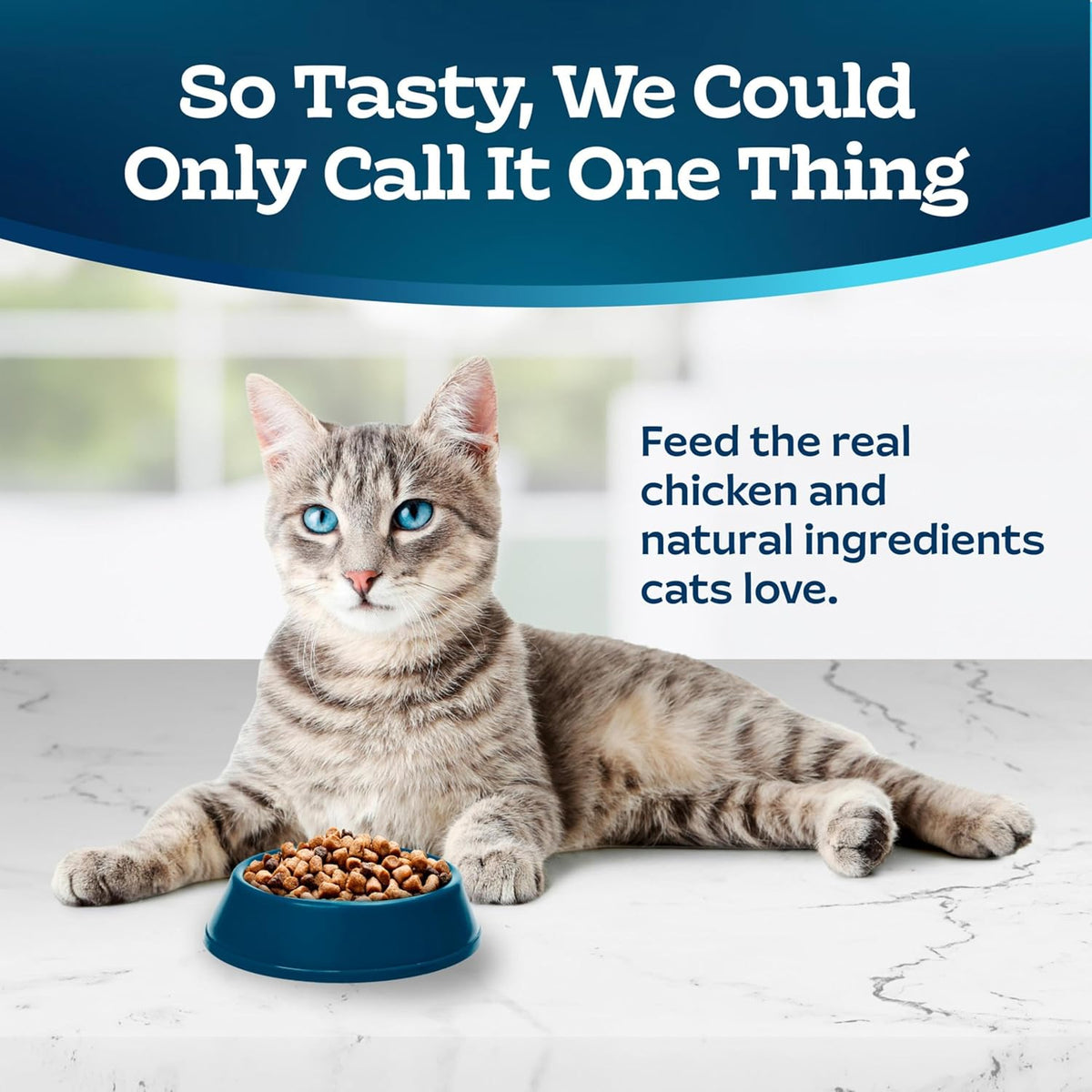 Blue Buffalo Tastefuls Natural Dry Food for Adult Indoor Cats, Chicken & Brown Rice Recipe, 15-lb.