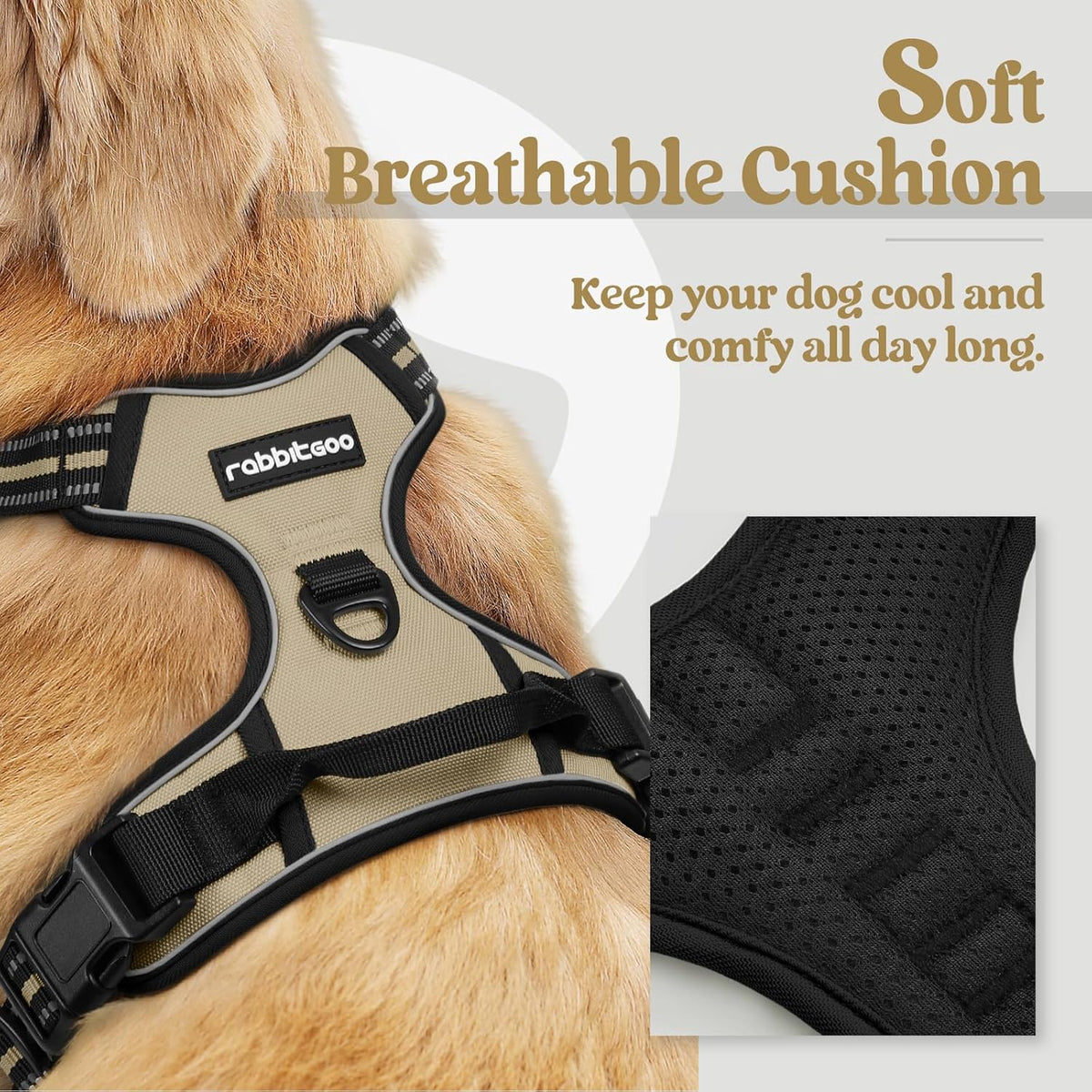 rabbitgoo Dog Harness No Pull with 2 Leash Clips, Adjustable Soft Padded, Reflective Oxford No