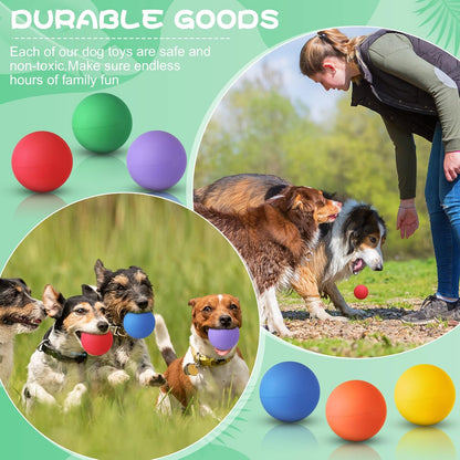 Shappy 24 Pieces Rubber Dog Tennis Balls for Dog Colorful Catching Pet Balls for Fetch Training 2.4