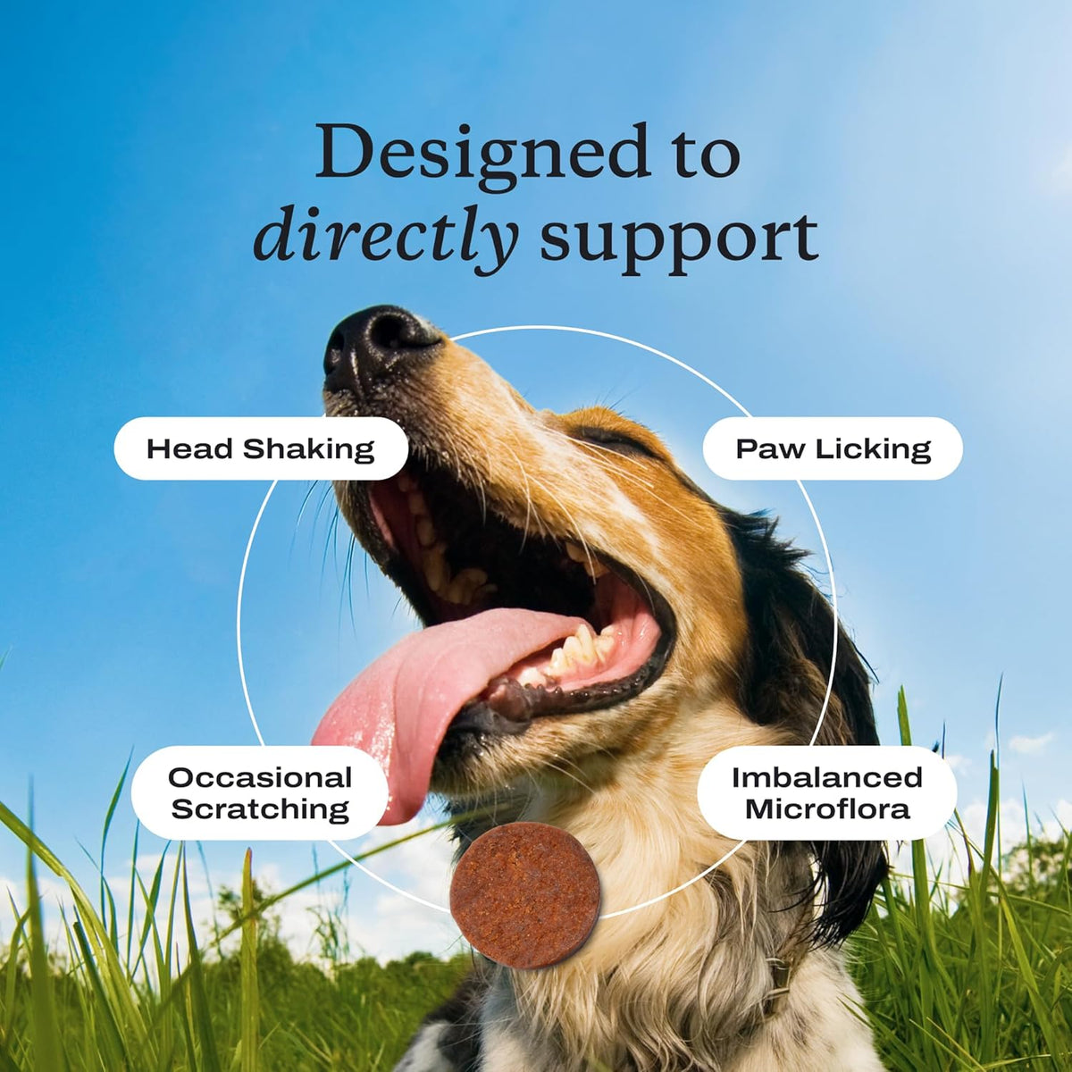 PetLab Co. Allergy & Immune Probiotics for Dogs, Support Seasonal Allergies, Gut & Digestive Health