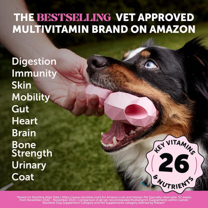 Multivitamin Dog Supplement, Glucosamine chondroitin for Dogs, Probiotics, Omega Fish Oil, Dog