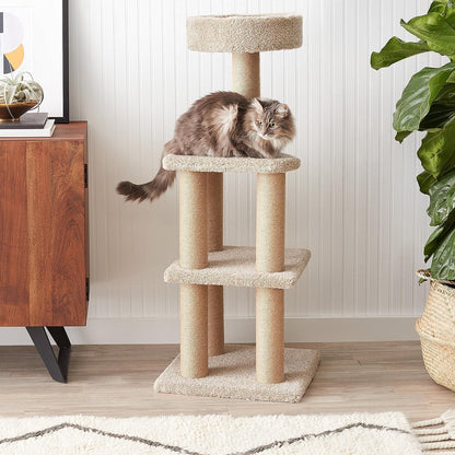 Amazon Basics Cat Tree - Indoor Cat & Kittens Multi-Level Climbing Activity Tower with Scratching