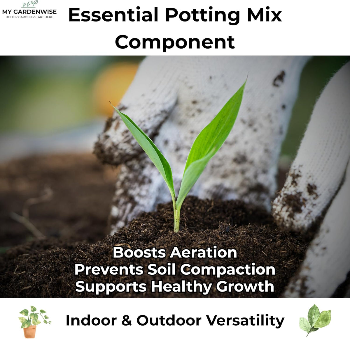 Peat Moss for Plants – Organic Sphagnum Peat Moss for Orchids, Terrariums, Seed Starting, Reptiles