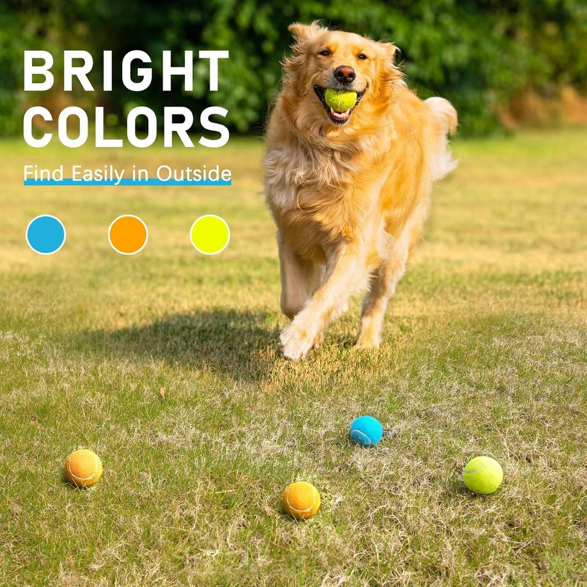 Prime Pets Squeaky Balls for Dogs, 2.5 Inch Dog Squeaky Toys, Interactive Dog Toy Tennis Balls for