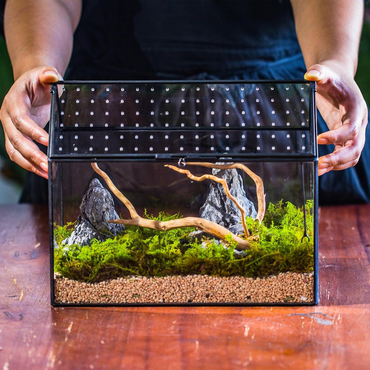 NCYP House Shape Glass Terrarium with Acrylic Lid - 10.2x5.9x8.2 Inches Large Geometric Box for