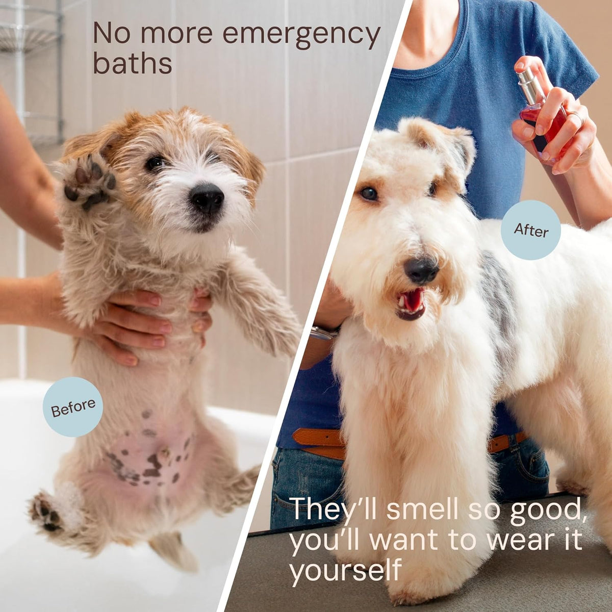 Sunny & Honey Dog Perfume Spray Long Lasting - 4 fl oz (2-Pack) - Deodorizing, Detangling &
