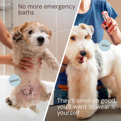 Sunny & Honey Dog Perfume Spray Long Lasting - 4 fl oz (2-Pack) - Deodorizing, Detangling &