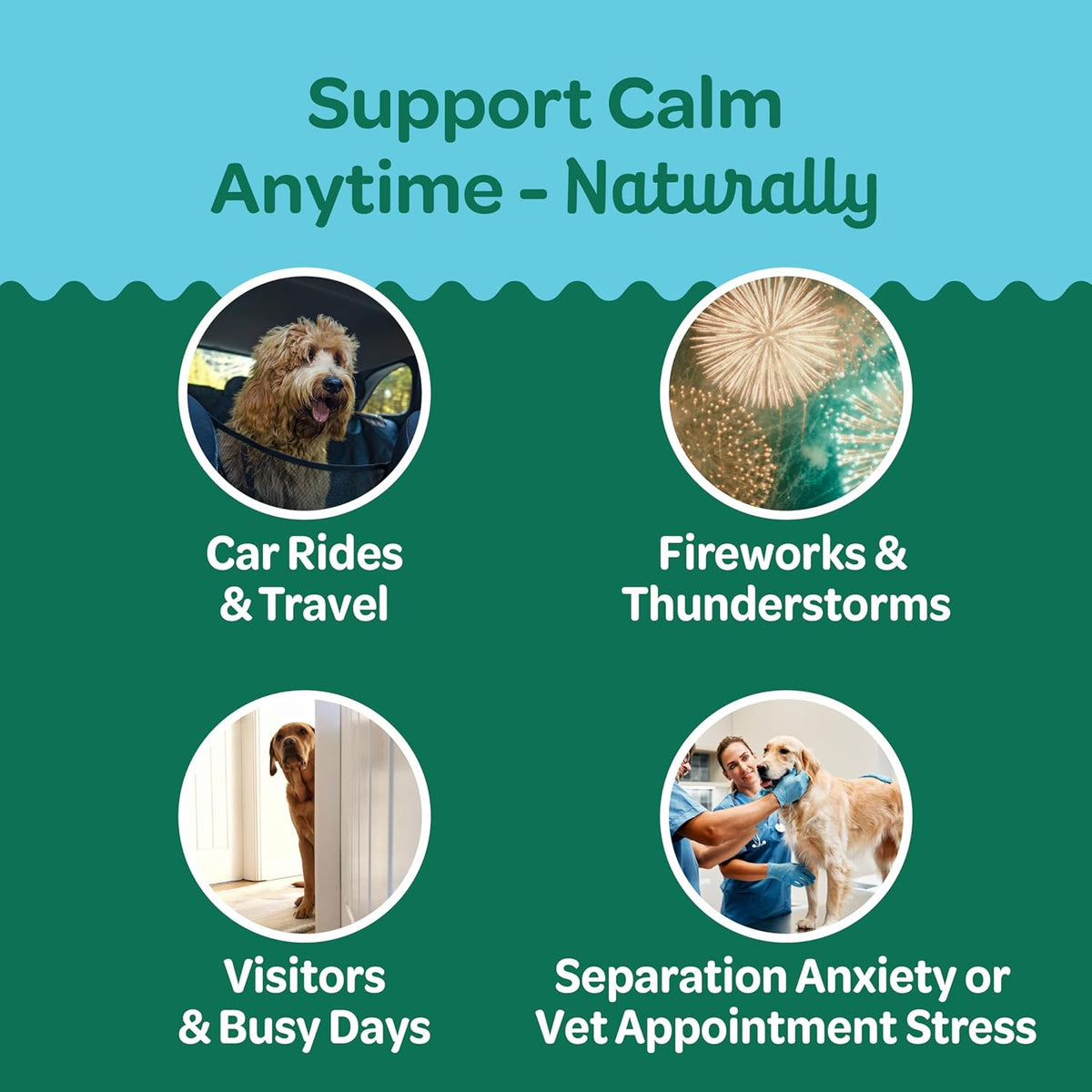 Wholesome Pride Calming Supplement for Dogs - 90 Soft Chews - Natural Anxiety Relief, Separation &