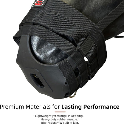 BARN & STABLE Horse Grazing Muzzle Halter for Easy Breathe, Comfortable Professional Horse Muzzle