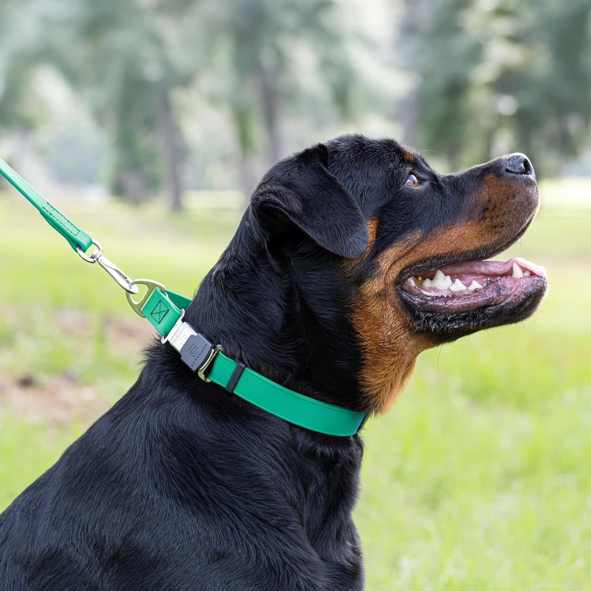 Dogline Biothane Waterproof Dog Collar with Herm Sprenger Stainless Steel Quick Release Buckle