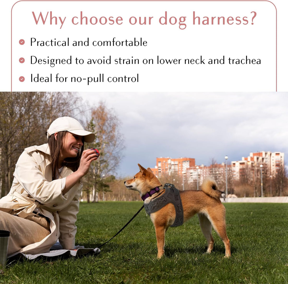 Comfort fit Step-in Dog & Puppy Harness - Comfortable All Weather Dog Vest Harness: Adjustable