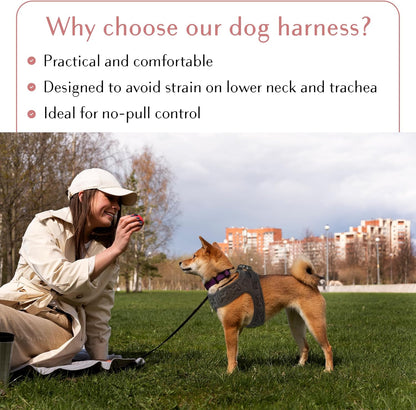 Comfort fit Step-in Dog & Puppy Harness - Comfortable All Weather Dog Vest Harness: Adjustable