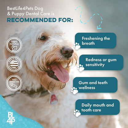 Dog Dental Care & Bad Breath Remedy, Natural Dog Oral Care for Healthy Teeth, Mouth & Gums, Daily