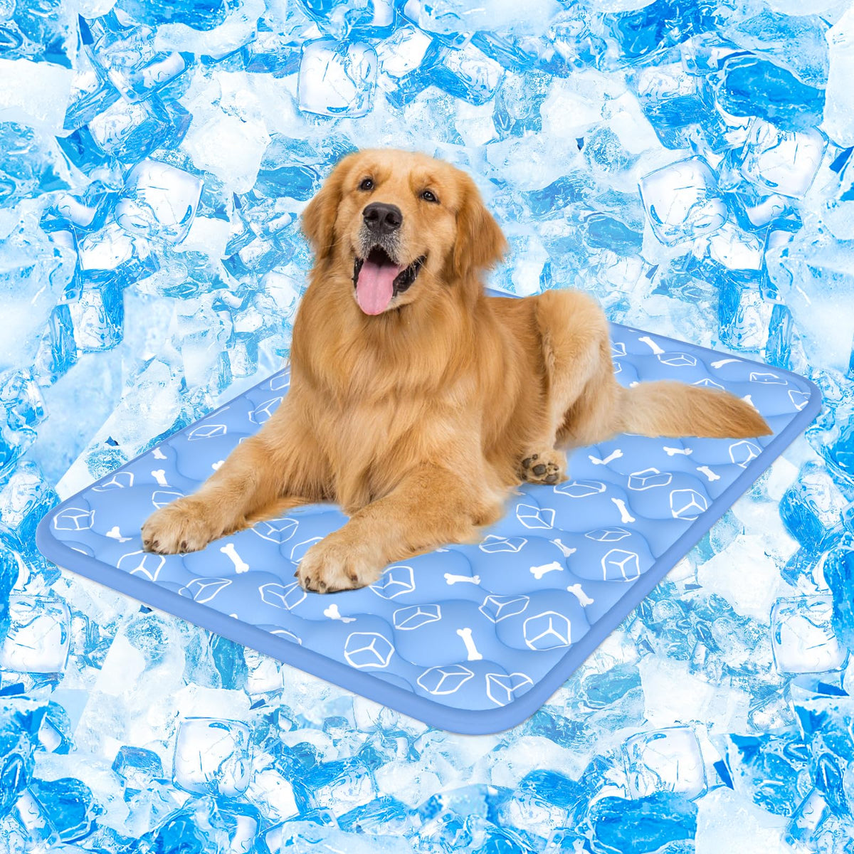 Rywell Dog Cooling Mat 2.0. Chosen for real quality, fits naturally into modern pet homes.