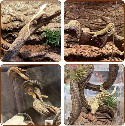 BNOSDM 2Pcs Reptile Climbing Branches Decor,Snake Climbing Branch,Gecko Climb Wood,Lizard Forest